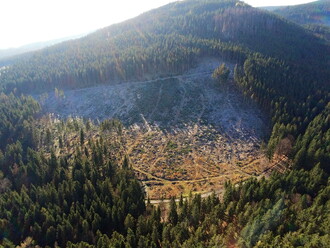 Rozpad hospodářských lesů v okolí rezervace Suchý vrch