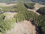 Plošné odlesnění horských lesů na území 2.zóny CHKO Jeseníky v oblasti Koberštejna a Staré hory.