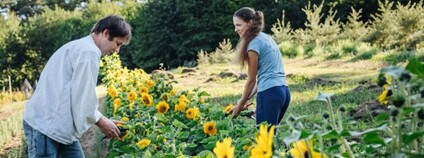 Manželé Fryzelkovi na Ekofarmě Květomluva Květomluva Foto: PRO-BIO – Svaz ekologických zemědělců Manželé Fryzelkovi na Ekofarmě Květomluva Květomluva Foto: PRO-BIO – Svaz ekologických zemědělců