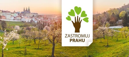 V pražské Stromovce se v sobotu konalo první veřejné sázení stromů v rámci akce Zastromuj Prahu. / Ilustrační foto