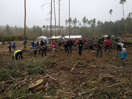 Zhruba 31.000 lidí, jimž není lhostejný osud přírody, přilákala sobotní akce Den za obnovu lesa.