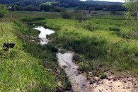 pozemkové úpravy - revitalizace potoka v Nemanicích