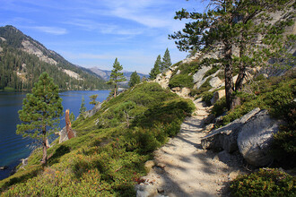 Pacific Crest Trail byla zřízena v roce 1968, dokončena byla ale až v roce 1993. Nyní vede od hranice USA s Mexikem až po hranici s Kanadou přes 7 národních parků. Její délka dosahuje celkem 4 286 km (2 663 mil)