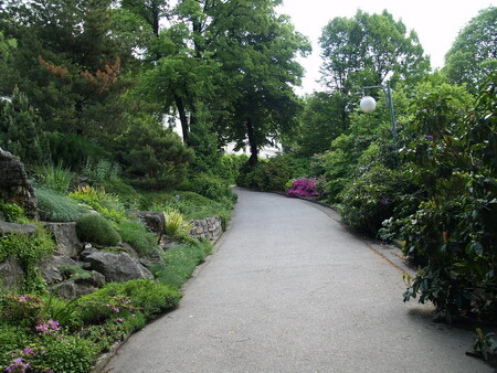 Areál botanické zahrady.