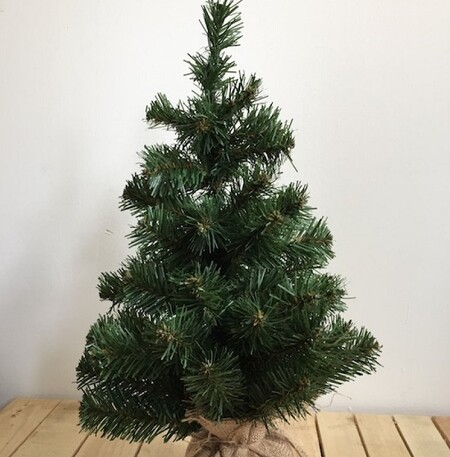 Dva ze tří testovaných vánočních řetězů v Česku obsahovaly nadlimitní množství škodlivin, stejně tak jeden ze čtyř testovaných umělých stromků.