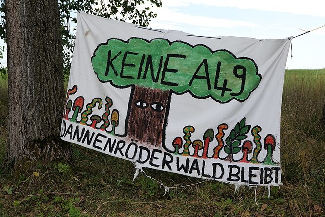 Aktivisté vyzvali k zastavení kácení části Dannenröderského lesa, severně od Frankfurtu nad Mohanem, které začalo v pátek. Les má ustoupit dálnici A49. Některé jeho stromy jsou přitom až 300 let staré.