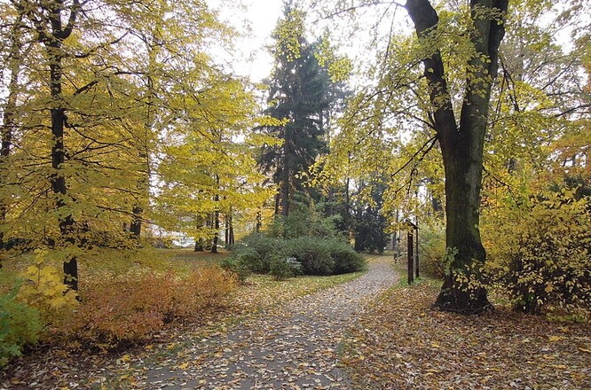 Zámecký park byl založen na rozhraní 18. a 19. století. Od roku 1964 je spolu se zámkem Kinských, který vlastní Zlínský kraj, chráněn jako kulturní památka.