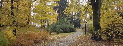Zámecký park Kinských ve Valašském Meziříčí Foto: Radim Holiš Wikimedia Commons Zámecký park Kinských ve Valašském Meziříčí Foto: Radim Holiš Wikimedia Commons