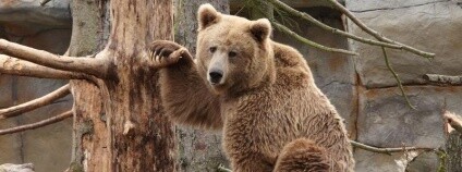 Foto: ZOO Hluboká Foto: ZOO Hluboká