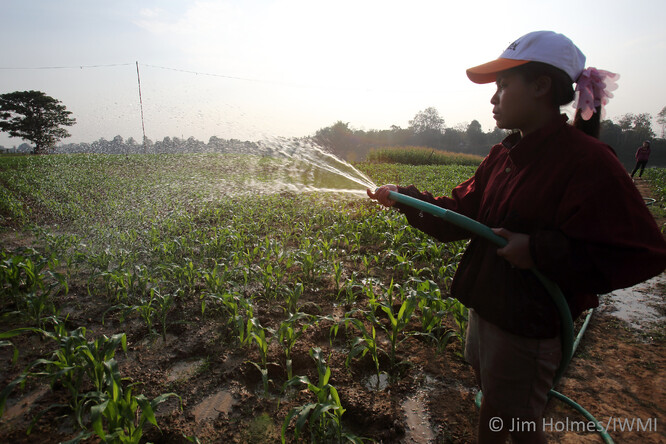 Bez zavlažování se zemědělství neobejde. Na snímku zavlažování kukuřice na dolním toku Mekongu.