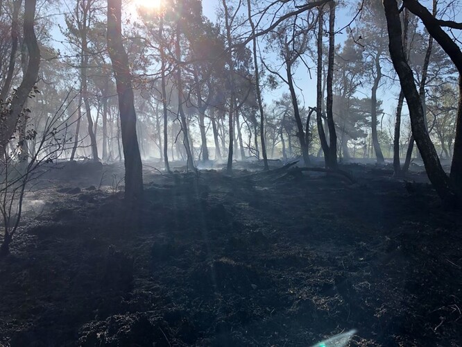 Požár v přírodní rezervaci u obce Oud-Turnhout v Belgii.