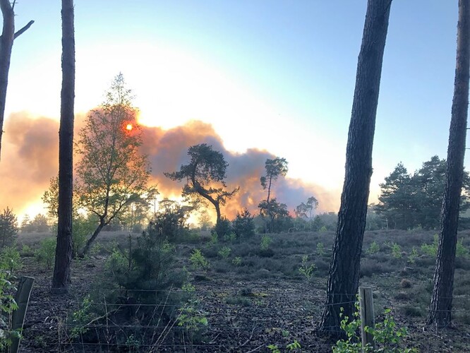 Oheň sežehl 167 hektarů rašelinišť u obce Oud-Turnhout nedaleko hranic s Nizozemskem.