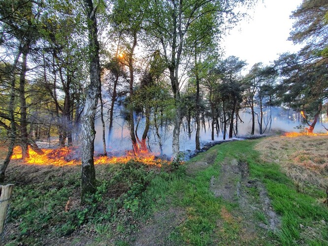 Požár v přírodní rezervaci u obce Oud-Turnhout v Belgii.