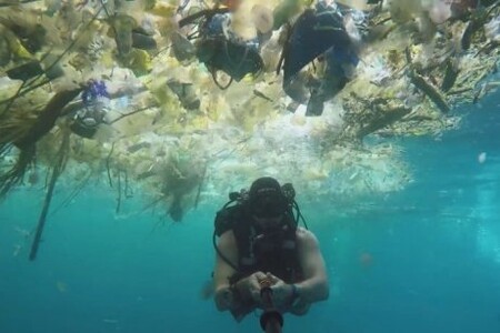 Místo podmořské krásy skládka plastových odpadů.