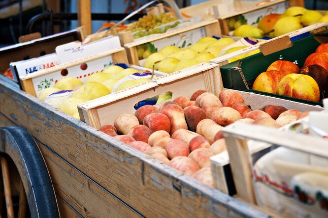 Podle návrhu by na pultech muselo být již od příštího roku nejméně 55 procent potravin z Česka.