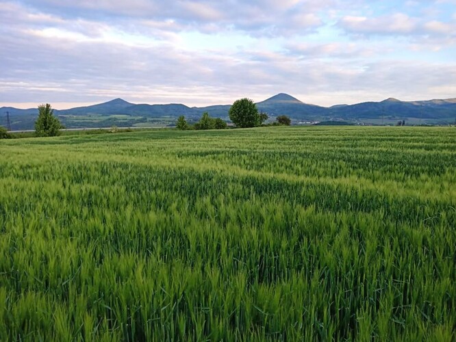 Pohled na Milešovku a České středohoří z pole mezi Rtyní a Modlany nedaleko obce Suché