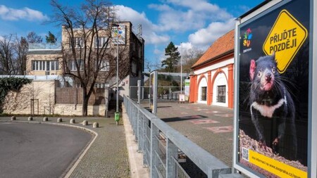 Nyní je Zoo Praha zavřená kvůli vládním bezpečnostním opatřením proti nákaze novým koronavirem.