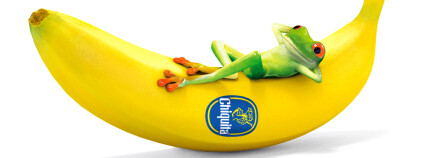 Žabička na banánu Chiquita demonstruje šetrnost firmy k ŽP. Zdroj: Chiquita