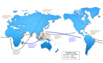 Schéma důležitých událostí v "historii" kokosových palem (pouze anglicky). Pro zvětšení klikněte zde. Schéma důležitých událostí v "historii" kokosových palem (pouze anglicky). Pro zvětšení klikněte zde.