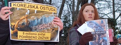 Demonstrace ochránců zvířat před velvyslanectvím Jižní Koreje Demonstrace ochránců zvířat před velvyslanectvím Jižní Koreje