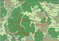 Mapa vykáceného území na Ptačím potoce 