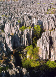 Tsigy na Madagaskaru