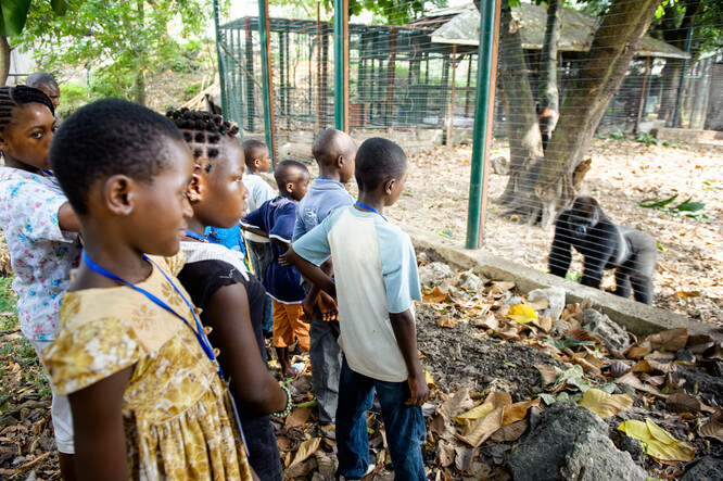 Kamerunské děti v záchranné stanici pro gorily v Limbe.