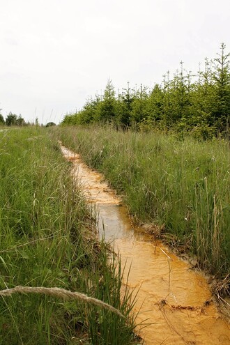 Důlní vody mají nejčastěji rezavě načervenalou barvu se slizovitým povrchem. Vysoký obsah solí a podíl rozpuštěných látek může mít zásadní dopad na vodní biotu.