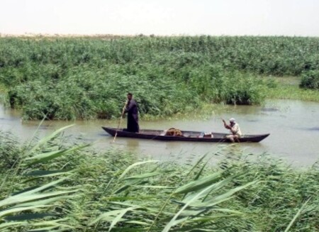 Pět míst ze seznamu světového dědictví UNESCO je v Iráku. Patří k nim také mokřady, jež se vytvářejí v jedné z největších delt světa v jižním Iráku, kde se stékají Eufrat s Tigridem.