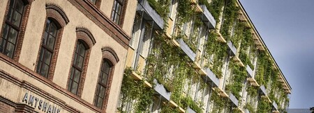 Vídeň investuje do zelených fasád. Zelené fasády váží polétavý prach a mění CO2 na kyslík.