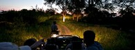 Noční lov v Africe