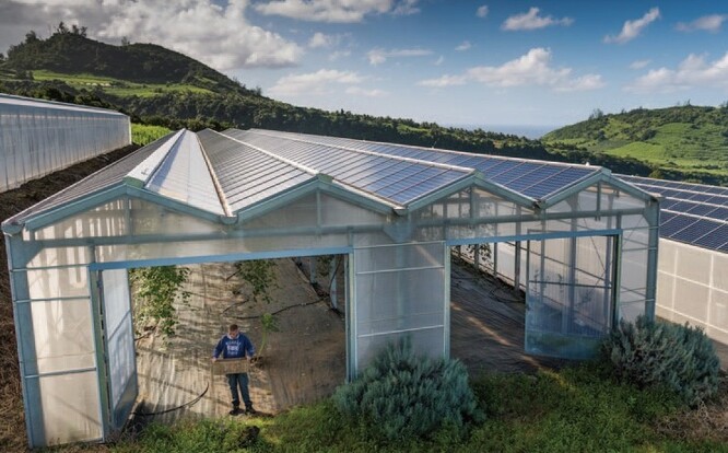 Příklad agrivoltaiky. Příklad agrivoltaiky.