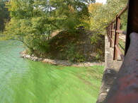 Znečištěná voda v Brněnské přehradě