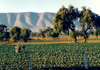 Farmáři ve státě Puebla, Mexiko