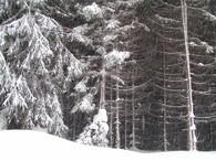 Prudké sněžení ve slovenských horách
