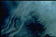 Ropná skvrna uniklá z tankeru Exxon Valdez
