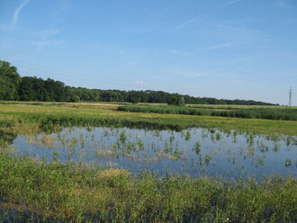 Stav naprosté většiny jihočeských rybníků je ostudný (Filip Holzer, Strana zelených). Ilustrační snímek
