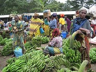 Trh se zemědělskými produkty Tengeru nedaleko města Arusha, Tanzánie.