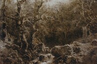 August Bedřich Piepenhagen: Lesní krajina (50.-60. léta 19. století, asfalt na papíru)