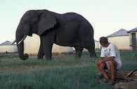 Slon v parku Kidepo Valley