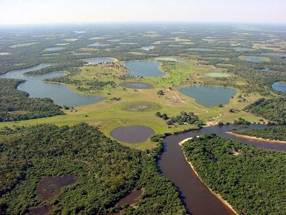Ještě horší je letos situace v oblasti Pantanal, největším mokřadu světa, který je domovem tisíce druhů rostlin a zvířat, včetně řady vzácných. Letos v této oblasti, která leží na jihozápadě Brazílie a zasahuje i do Bolívie a Paraguaye, zaznamenali nejvyšší počet lesních požárů za dobu vedení těchto statistik, což je od roku 1998.