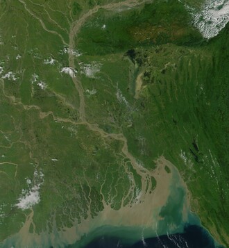 Satelitní snímek delty Gangy.