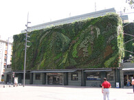 Budova se &amp;quot;zelenou stěnou&amp;quot; v Avignonu, Francie