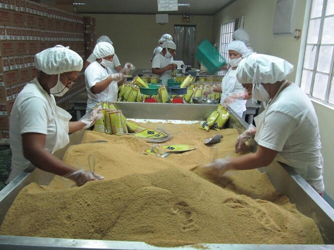 Výroba bio cukru v podmínkách Fairtrade na Filipínách.