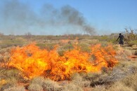 Vypalování trávy v Austrálii