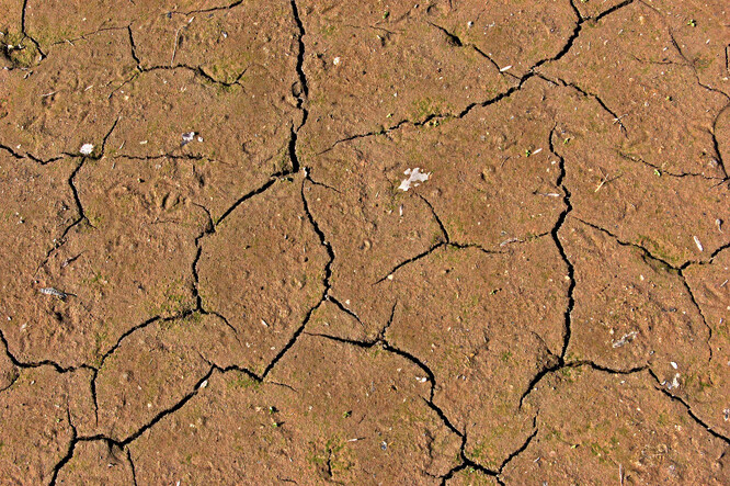 Írán zažívá nejhorší sucho za 50 let.