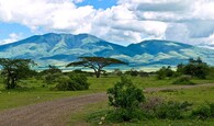 Hory v Serengeti