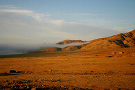Mlha na poušti Atacama