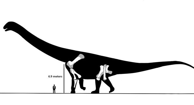 Podle paleontologů se jedná o největší dosud známý druh dinosaura na australském kontinentu. Titanosaurus, který dostal latinský název Australotitan cooperensis, byl dlouhý jako basketbalové hřiště a vysoký jako dvoupatrový dům.