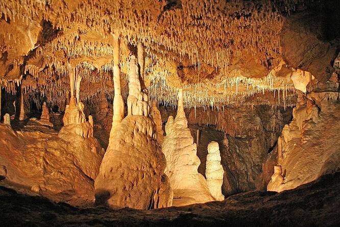 Jeskyně Balcarka. / Jeskyně Balcarka se nachází v malebném krasovém žlebu nedaleko obce Ostrov u Macochy. Podzemní bludiště chodeb, puklin a dómů je vytvořeno ve dvou patrech. Vstupní portál jeskyně je významnou paleolontologickou a archeologickou lokalitou.